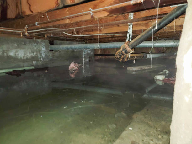 Fire Damage Restoration in Burton, OH