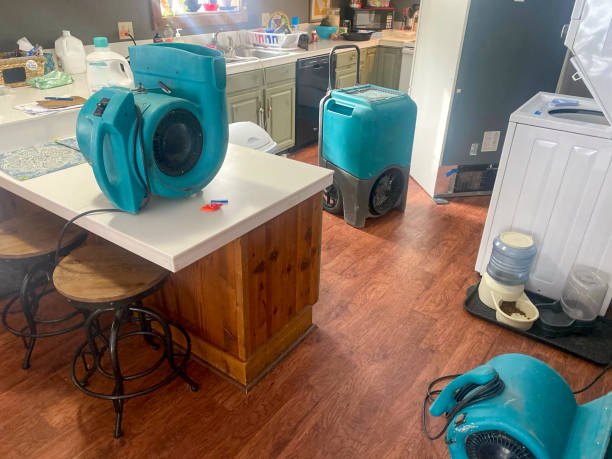 Best Water damage cleanup near me  in Burton, OH