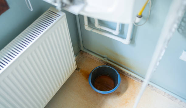 Best Water damage restoration near me  in Burton, OH
